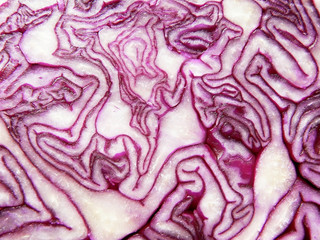 Obraz premium Red cabbage detail