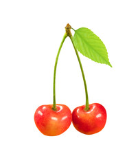 cherry fruit with green leaf isolated on white background