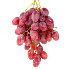 pink grapes