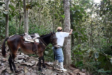Cowboy Relaxing with Horse