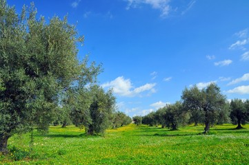 Country
