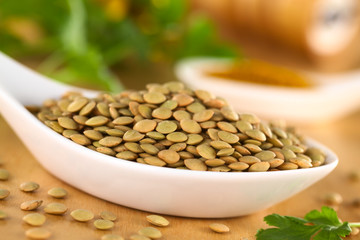 Raw brown lentil seeds