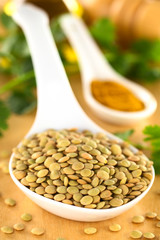Raw brown lentil seeds
