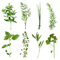 Herbs Collection - obrazy, fototapety, plakaty