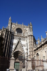 Fototapeta na wymiar Fasada Giralda, katedry w Sewilli