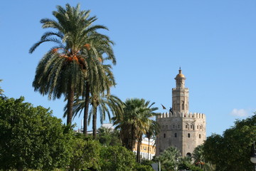 Fototapeta na wymiar Złota Wieża w Sewilli