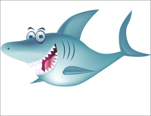 Funny shark