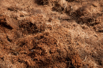 Cultivated garden soil