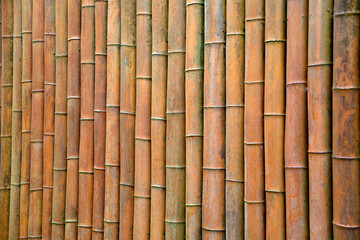 Fototapeta premium bamboo wall/bamboo house