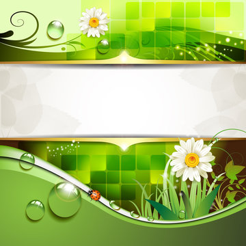 Green background with daisy and drops of water