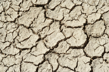 Dry Mud Cracks