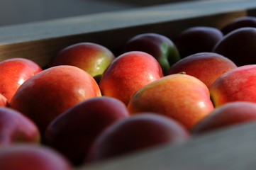 Histoire de pomme