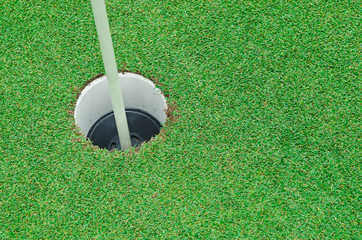 Beautiful green grass pattern