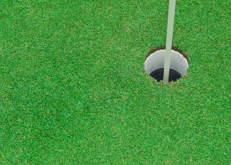 Beautiful green grass pattern