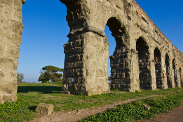 Fototapeta na wymiar Aqueduct (Aqua Claudia) in the Parco degli Acquedotti (Rome).