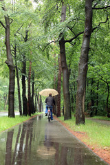 Fototapeta premium Man on bicycle in the rain with umbrella