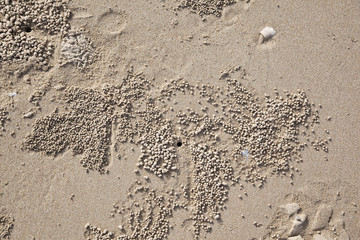 The texture of the sand