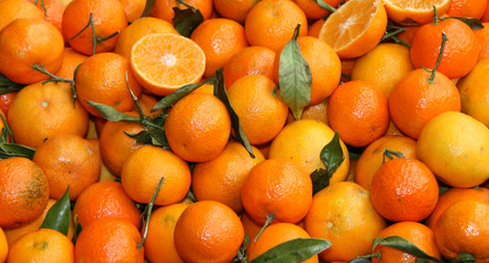 A Colourful Display of Fresh Sweet Clementine Oranges.