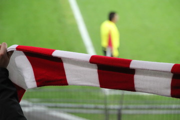Aficionado mostrando una bufanda con los colores de su equipo durante un partido de fútbol