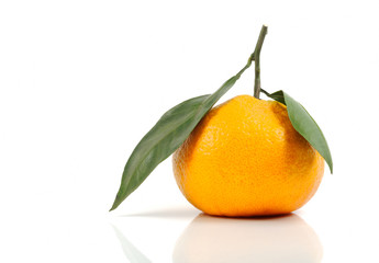 Mandarin orange