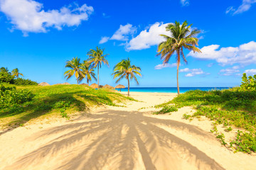 Fototapeta na wymiar Piękna tropikalna plaża w Varadero na Kubie