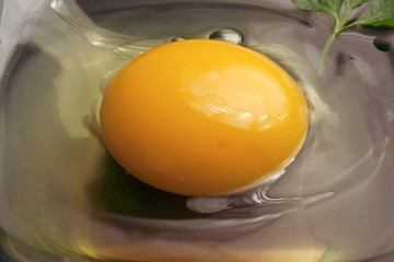 Tuorlo d'uovo