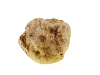 white truffle