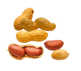 peanuts isolated on white background
