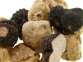 black & white truffles