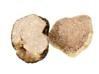 black & white truffles