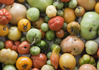 unperfect tomatoes assortment