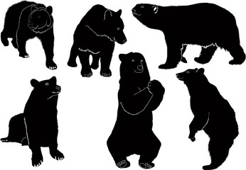 Bears animal silhouettes