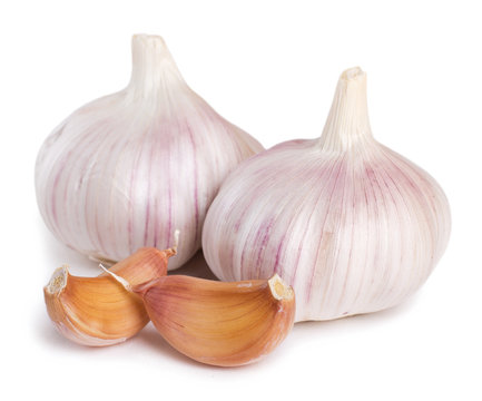 Fresh garlic