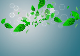 Spring leafs abstract background with place for your text. Ecolo