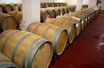 Winery barrels