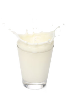 Milk splah on a glass, over white background