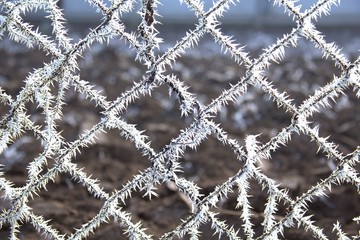 Frozen wire netting fence with soil background