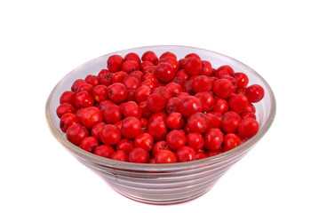 Rowan berries, also known as mountain ash