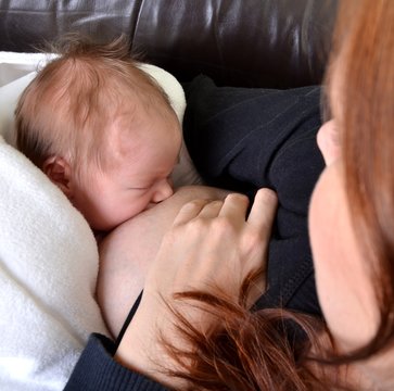 73 Best Tetant Images Stock Photos Vectors Adobe Stock