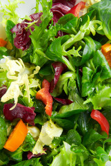 Crispy salad closeup