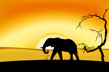 Obraz premium African elephant