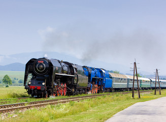 Fototapeta na wymiar pociąg pasażerski z parowozów, Słowacja