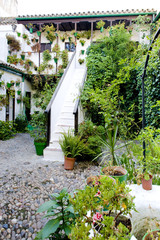 patio (courtyard), Cordoba, Andalusia, Spain