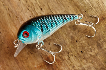 fishing lure