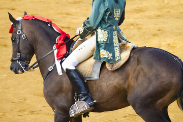 Bullfight on horseback. Typical Spanish bullfight.