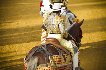 Bullfight on horseback. Typical Spanish bullfight.