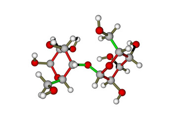 The molecule of lactose (milk sugar)