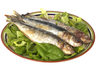 Grilled Sardines with Salad