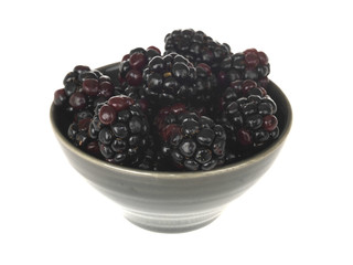 Small Bowl of Blackberries