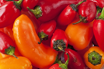 Sweet peppers